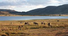 090516_Pilanesberg 303